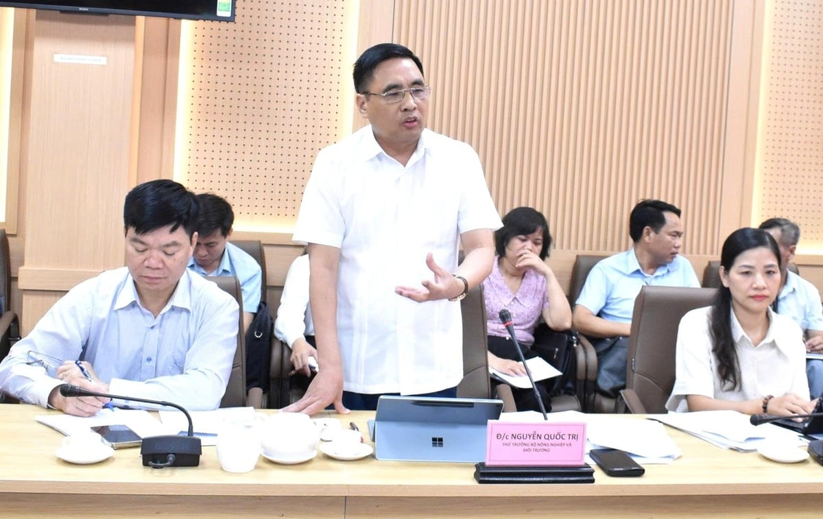 Thứ trưởng Nguyễn Quốc Trị và đoàn công tác của Bộ Nông nghiệp và Môi trường làm việc với tỉnh Tuyên Quang về việc tháo gỡ những khó khăn, vướng mắc trong lĩnh vực nông nghiệp và môi trường khi vận hành quyền địa phương 2 cấp. Ảnh: Đào Thanh. Thứ trưởng Nguyễn Quốc Trị và đoàn công tác của Bộ Nông nghiệp và Môi trường làm việc với tỉnh Tuyên Quang về việc tháo gỡ những khó khăn, vướng mắc trong lĩnh vực nông nghiệp và môi trường khi vận hành quyền địa phương 2 cấp. Ảnh: Đào Thanh.
