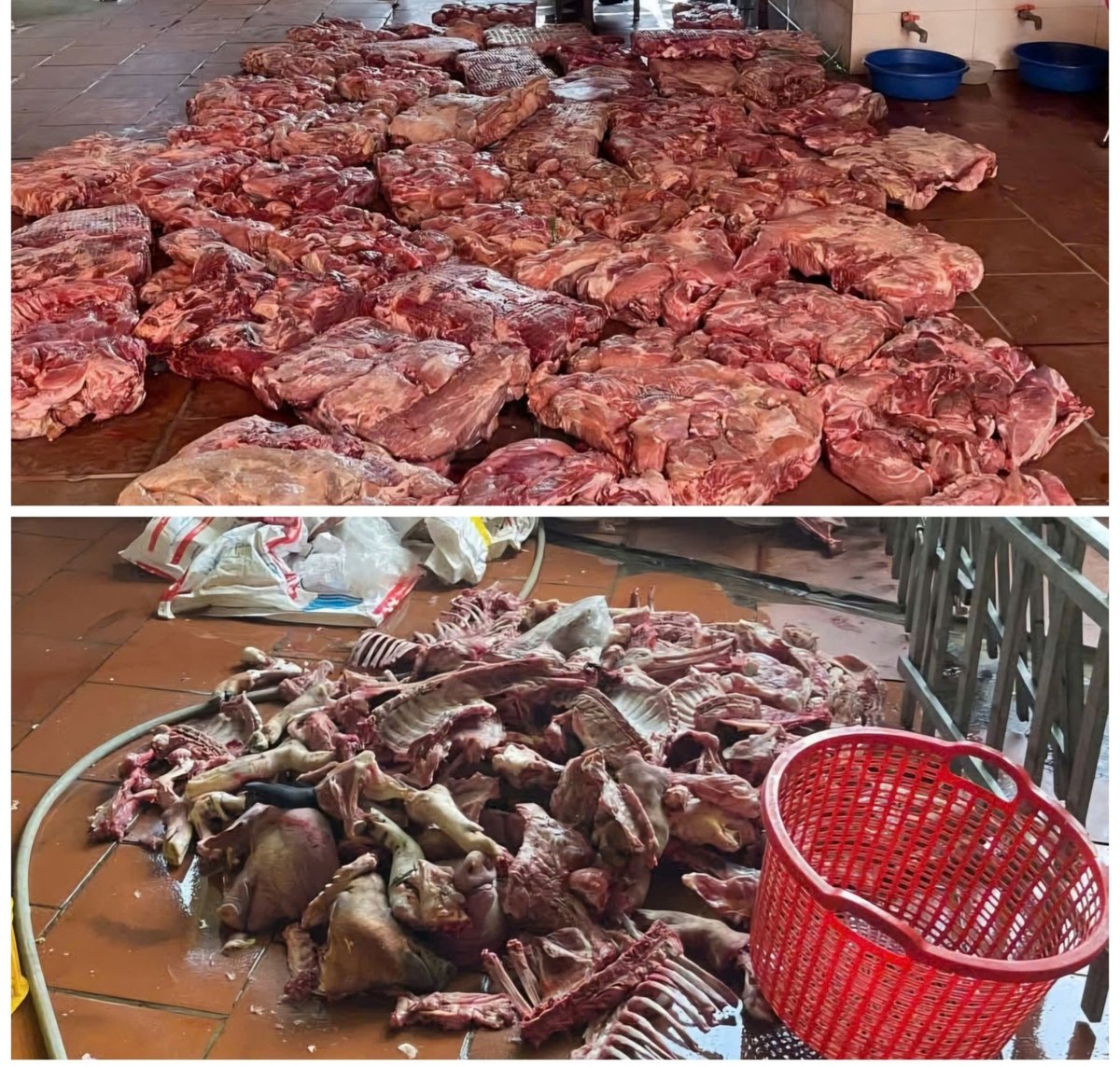 Hiện trường tại 2 cơ sở kinh doanh thịt lợn. Ảnh: Công an xã Tân Yên. Hiện trường tại 2 cơ sở kinh doanh thịt lợn. Ảnh: Công an xã Tân Yên.