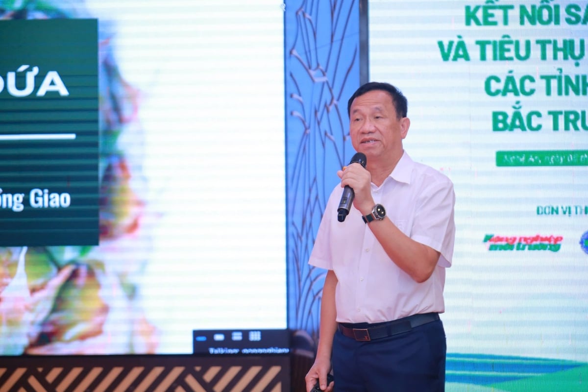 Dr. Dinh Cao Khue, Chairman and CEO of Dong Giao Export Food Company (DOVECO). Photo: VAN.