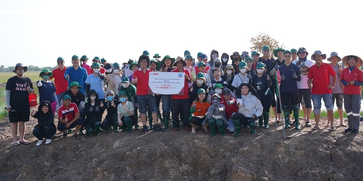 INSEE Vietnam hands over and plants 10,000 local melaleuca trees at the Phu My Species & Habitat Conservation Area in Giang Thanh Commune, An Giang Province. Photo: Khanh Loan.
