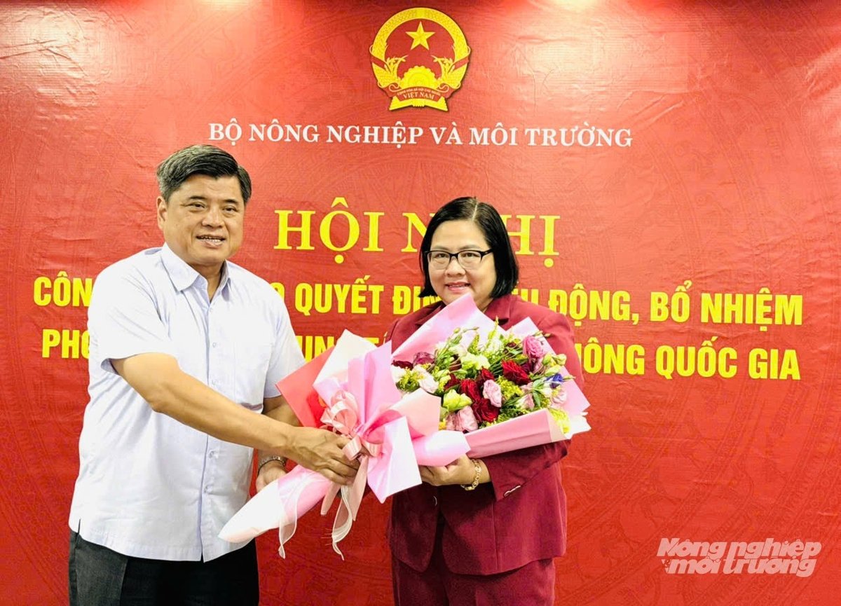 Thứ trưởng Bộ Nông nghiệp và Môi trường Trần Thanh Nam trao quyết định bổ nhiệm bà Huỳnh Kim Định, Phó Cục trưởng Cục Kinh tế hợp tác và PTNT giữ chức Phó Giám đốc Trung tâm Khuyến nông quốc gia. Ảnh: Lê Hoàng Vũ. Thứ trưởng Bộ Nông nghiệp và Môi trường Trần Thanh Nam trao quyết định bổ nhiệm bà Huỳnh Kim Định, Phó Cục trưởng Cục Kinh tế hợp tác và PTNT giữ chức Phó Giám đốc Trung tâm Khuyến nông quốc gia. Ảnh: Lê Hoàng Vũ.