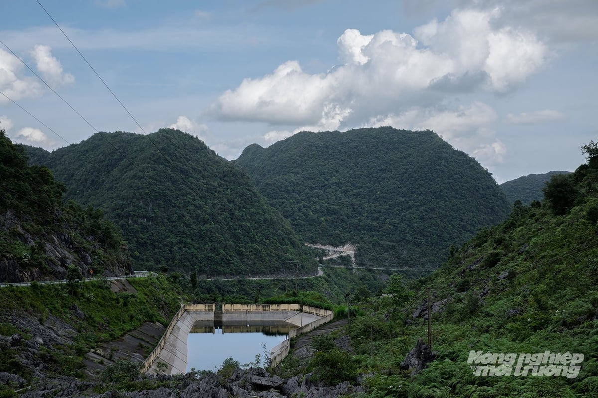 Những túi nước ngọt quý hiếm trên cao nguyên đá. Ảnh: K.Trung.