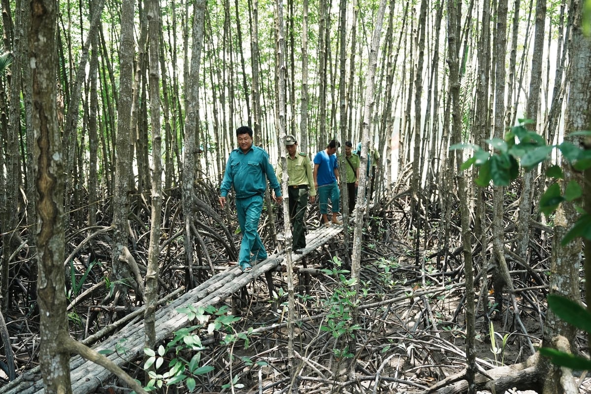 Lực lượng kiểm lâm, dân phòng và các hộ bảo vệ rừng thường xuyên tuần tra tại các khu vực trọng điểm của rừng phòng hộ Cần Giờ. Ảnh: Phúc Lập. Lực lượng kiểm lâm, dân phòng và các hộ bảo vệ rừng thường xuyên tuần tra tại các khu vực trọng điểm của rừng phòng hộ Cần Giờ. Ảnh: Phúc Lập.