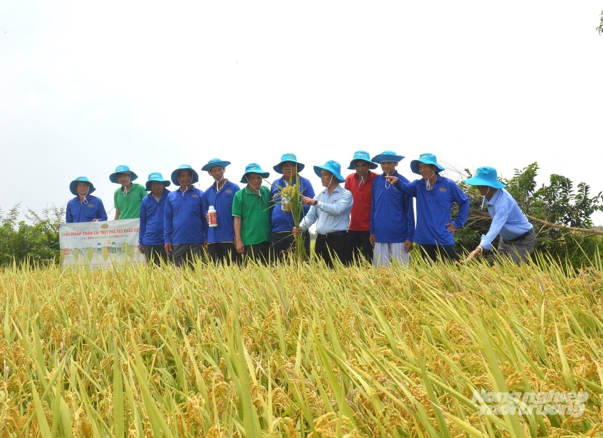 Nông dân tham dự hội thảo đầu bờ đánh giá hiệu quả bộ giải pháp 'Thần Tài tại cánh đồng kênh KH9, xã Hòn Đất, tỉnh An Giang. Ảnh: Trung Chánh. Nông dân tham dự hội thảo đầu bờ đánh giá hiệu quả bộ giải pháp 'Thần Tài tại cánh đồng kênh KH9, xã Hòn Đất, tỉnh An Giang. Ảnh: Trung Chánh.