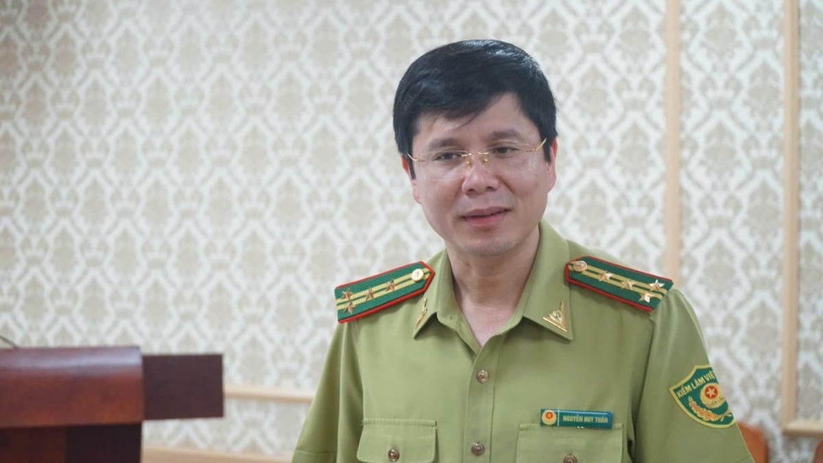 Theo ông Nguyễn Huy Tuấn, những tiềm năng từ rừng tại Sơn La là vô cùng lớn. Ảnh: Đức Bình. Theo ông Nguyễn Huy Tuấn, những tiềm năng từ rừng tại Sơn La là vô cùng lớn. Ảnh: Đức Bình.