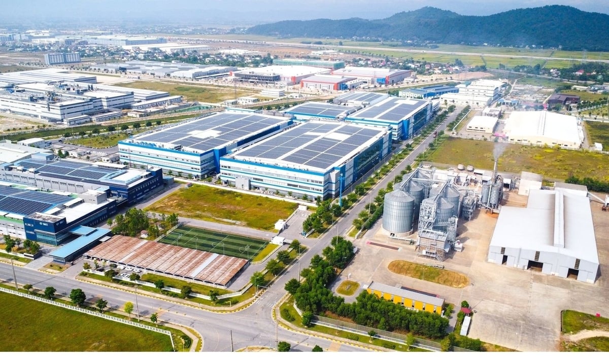 Nghệ An cần xây dựng cơ chế thu hút đầu tư hấp dẫn để các doanh nghiệp lớn, công nghệ cao vào đầu tư cho ngành lâm nghiệp. Ảnh: Thành Cường. Nghệ An cần xây dựng cơ chế thu hút đầu tư hấp dẫn để các doanh nghiệp lớn, công nghệ cao vào đầu tư cho ngành lâm nghiệp. Ảnh: Thành Cường.