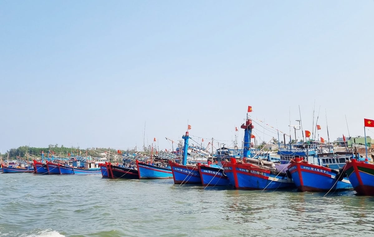 Quyết liệt để thực hiện mục tiêu phát triển nghề cá có trách nhiệm và bền vững. Ảnh: Lan Anh.
