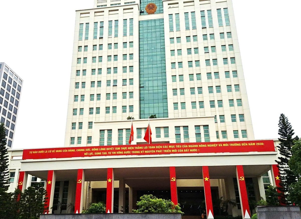 Đại hội Đảng bộ Bộ Nông nghiệp và Môi trường nhiệm kỳ 2025-2030 sẽ diễn ra từ ngày 13-14/8/2025. Ảnh: Hải Yến
