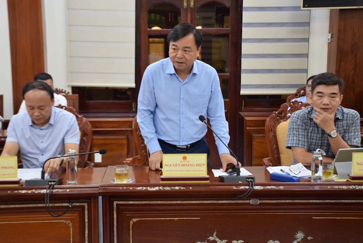 Thứ trưởng Bộ Nông nghiệp và Môi trường Nguyễn Hoàng Hiệp làm việc với UBND tỉnh Gia Lai về những khó khăn, vướng mắc trong vận hành chính quyền địa phương 2 cấp. Ảnh: V.Đ.T.