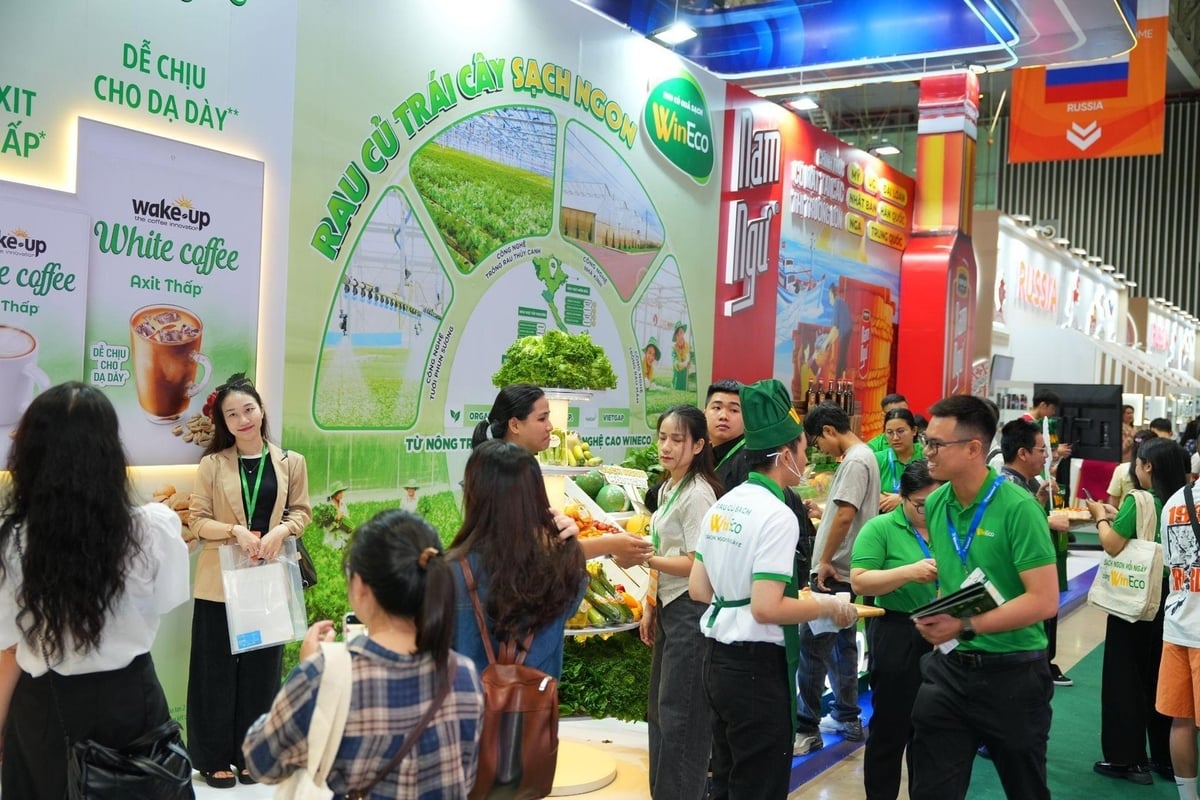 Gian hàng WinEco thu hút đông đảo khách tham quan trải nghiệm rau củ sạch và hoạt động dùng thử không thể bỏ qua. Ảnh: Masan.
