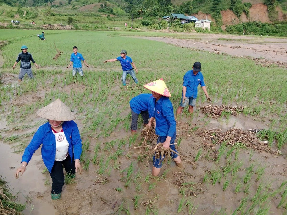 Đoàn viên thanh niên hỗ trợ người dân khắc phục hậu quả thiên tai, góp phần ổn định cuộc sống và sản xuất sau mưa lũ. Ảnh: Hoàng Châu.