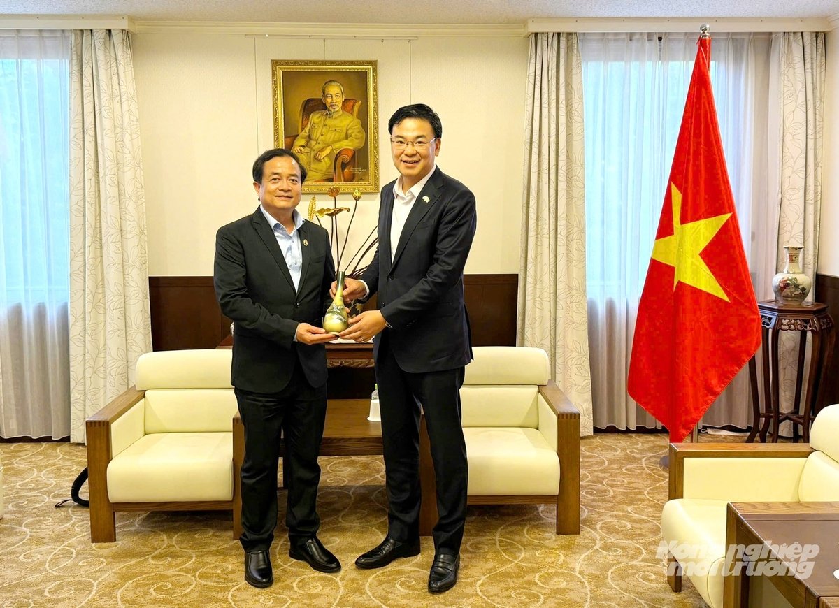 Lãnh đạo UBND tỉnh Tây Ninh chào xã giao Đại sứ Việt Nam tại Nhật Bản. Ảnh: Gia Phú.