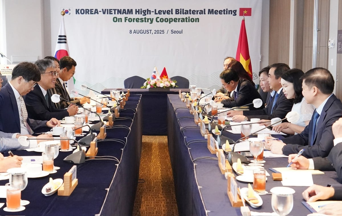 Quyền Bộ trưởng Bộ Nông nghiệp và Môi trường Việt Nam Trần Đức Thắng có buổi làm việc với Bộ trưởng Cơ quan Lâm nghiệp Hàn Quốc (KFS) Lim Sang-seop, sáng 8/8. Ảnh: Nguyễn Thanh.