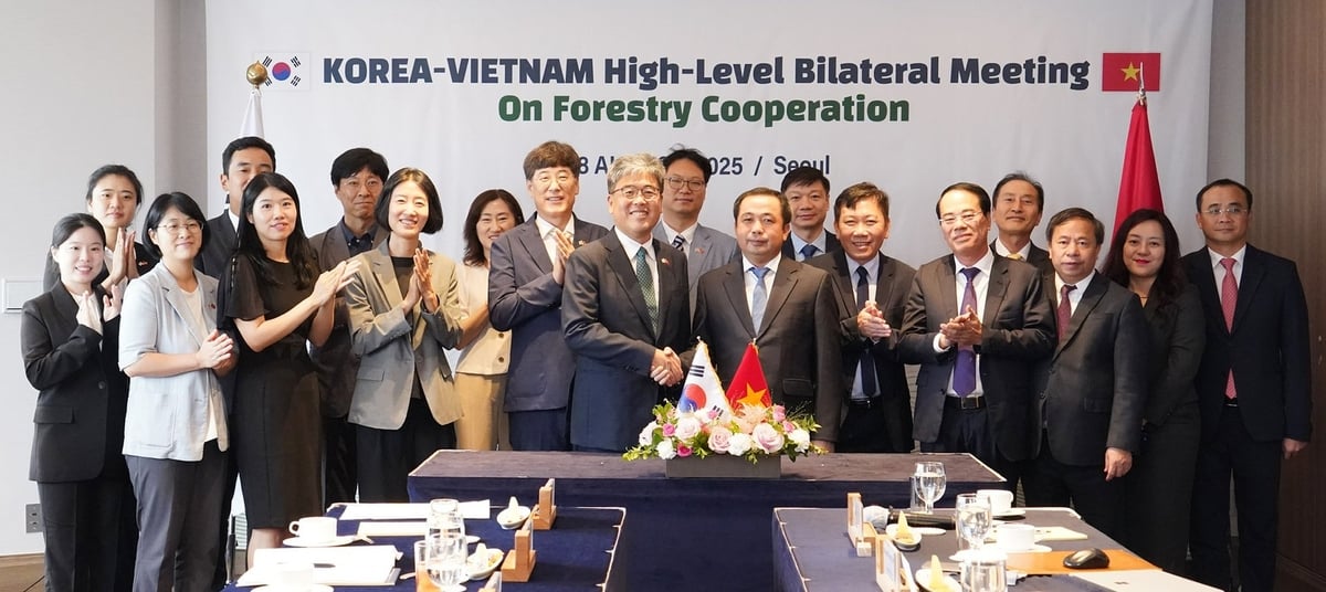Quyền Bộ trưởng Trần Đức Thắng khẳng định hợp tác lâm nghiệp Việt - Hàn bước sang giai đoạn mới, mở rộng phục hồi rừng, thương mại gỗ và tín chỉ carbon. Ảnh: Thanh Nguyễn.