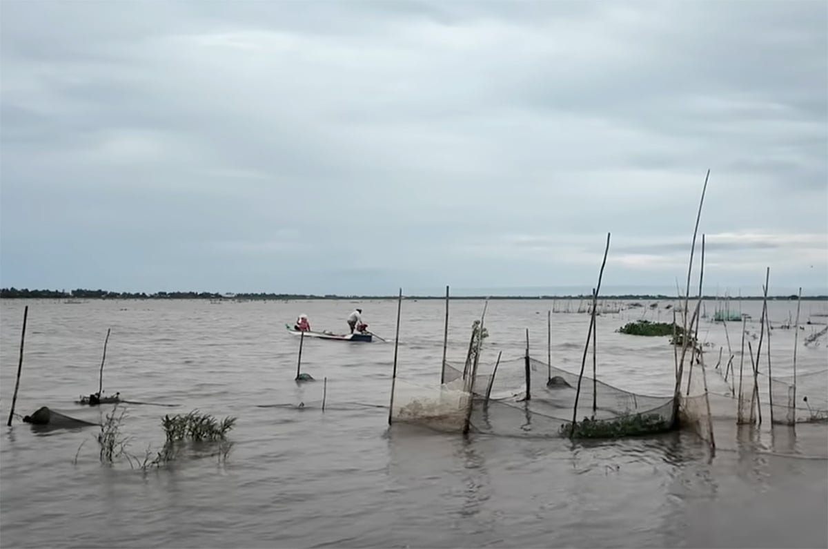 Lũ nội đồng trên một cánh đồng của tỉnh Đồng Tháp. Ảnh: Sơn Trang.