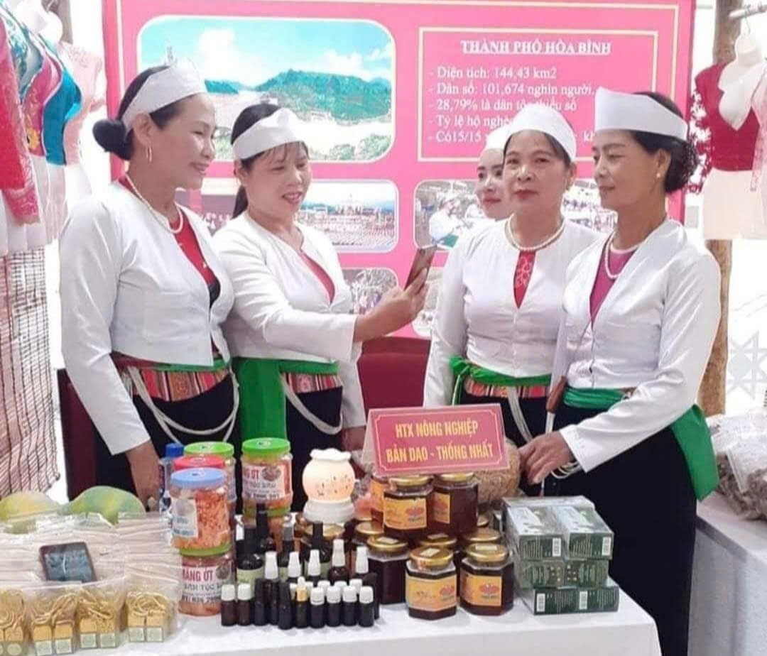 HTX nông nghiệp Bản Dao Thống Nhất, hoạt động từ năm 2015, mang lại công ăn việc làm và thu nhập cho nhiều người dân địa phương. Ảnh: Văn Việt.