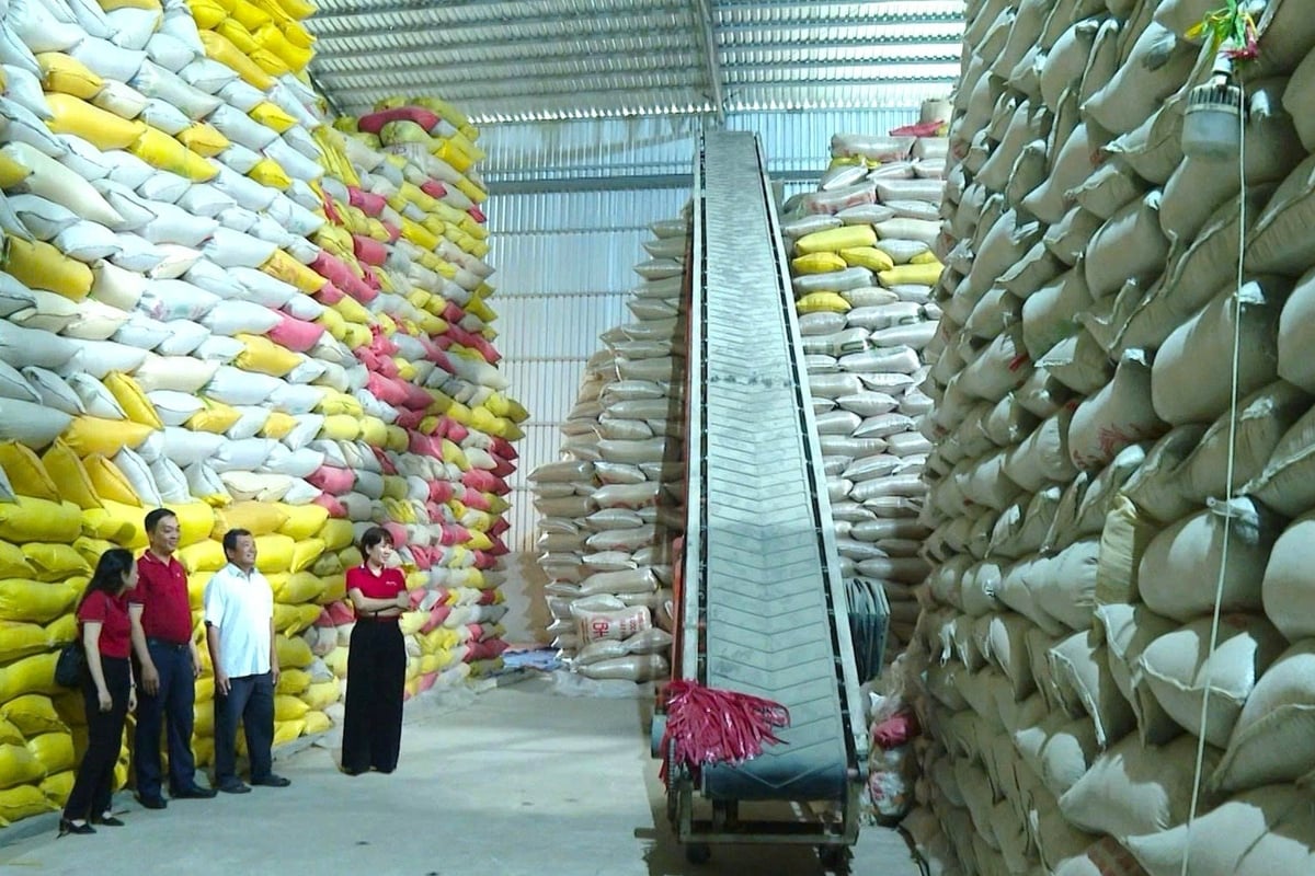 Cơ ngơi của vợ chồng bà Trần Cẩm Nhung và ông Nguyễn Hữu Ngọc sau nhiều năm tiếp cận nguồn vốn Agribank. Ảnh: Minh Khương.