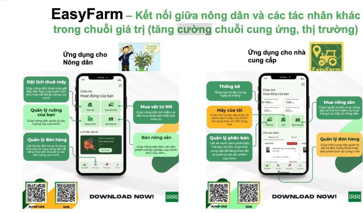 Công cụ EasyFarm - kết nối nông dân với các tác nhân trong chuỗi giá trị lúa gạo, từ đại lý vật tư đến thương lái, cho phép đặt dịch vụ... Ảnh: IRRI.