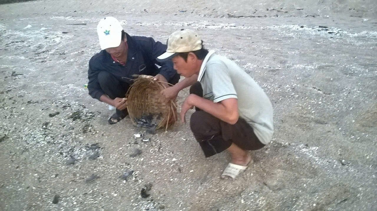 Local community has engaged in turtle conservation programs and released hatchlings. Photo: MP.