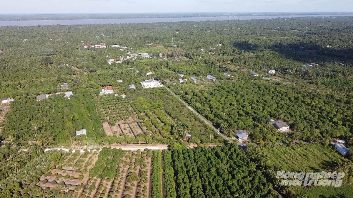 Vùng đất Cù Lao Dung nay thuộc TP. Cần Thơ nằm bên dòng sông Hậu hiền hòa. Ảnh: Văn Vũ.