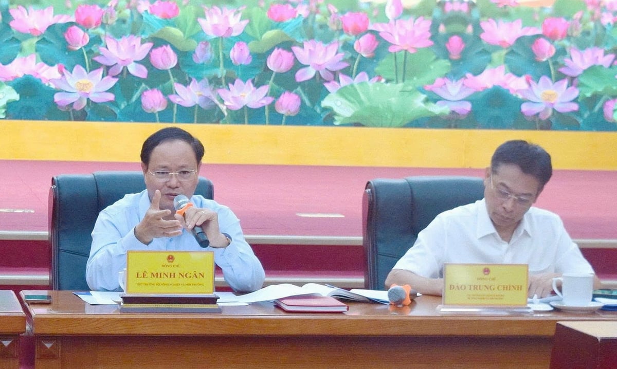 Thứ trưởng Lê Minh Ngân trao đổi với các đại biểu. Ảnh: Trường Giang.
