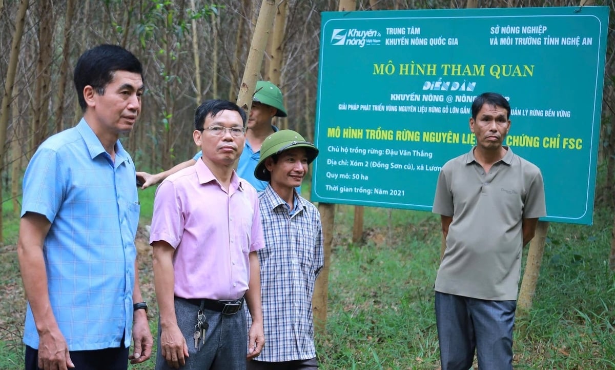 Nhân rộng mô hình, tăng diện tích rừng gỗ lớn gắn chứng chỉ quản lý rừng bền vững là xu thế tất yếu. Ảnh: Việt Khánh.