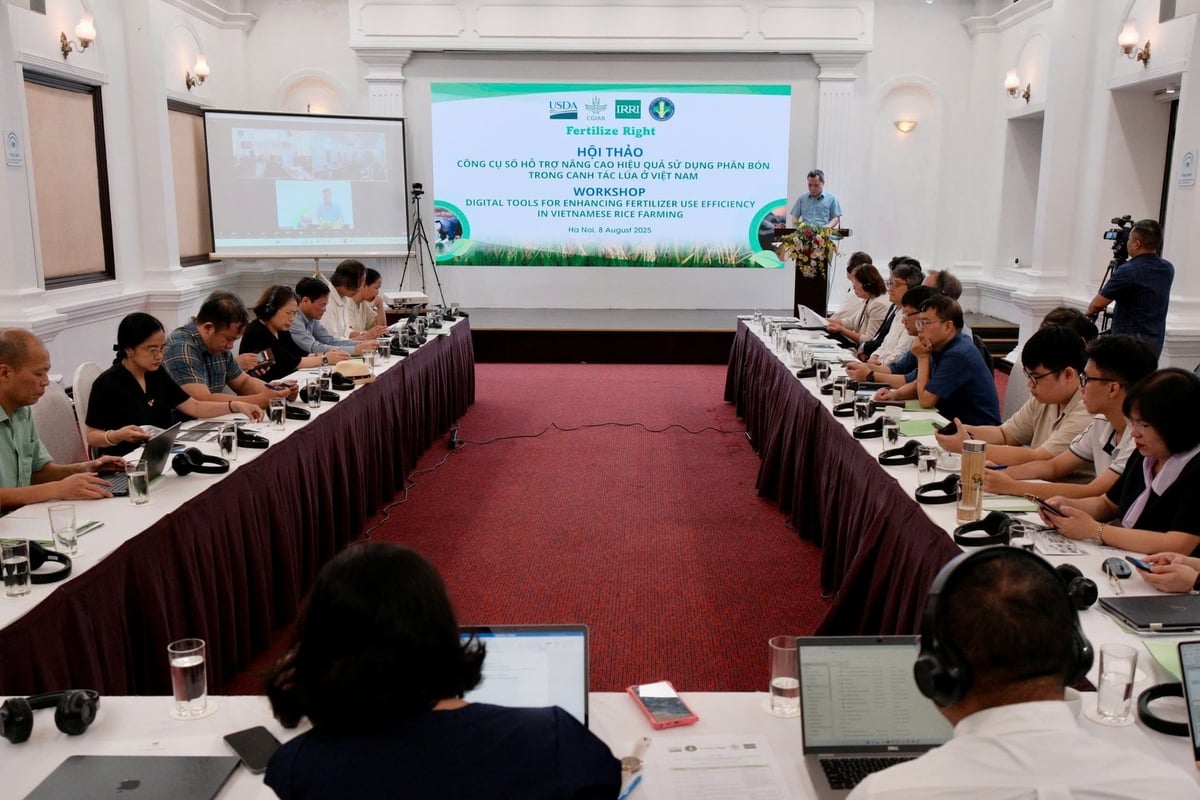 Hội thảo 'Công cụ hỗ trợ nâng cao hiệu quả sử dụng phân bón trong canh tác lúa ở Việt Nam' sáng 8/8. Ảnh: Quỳnh Chi.