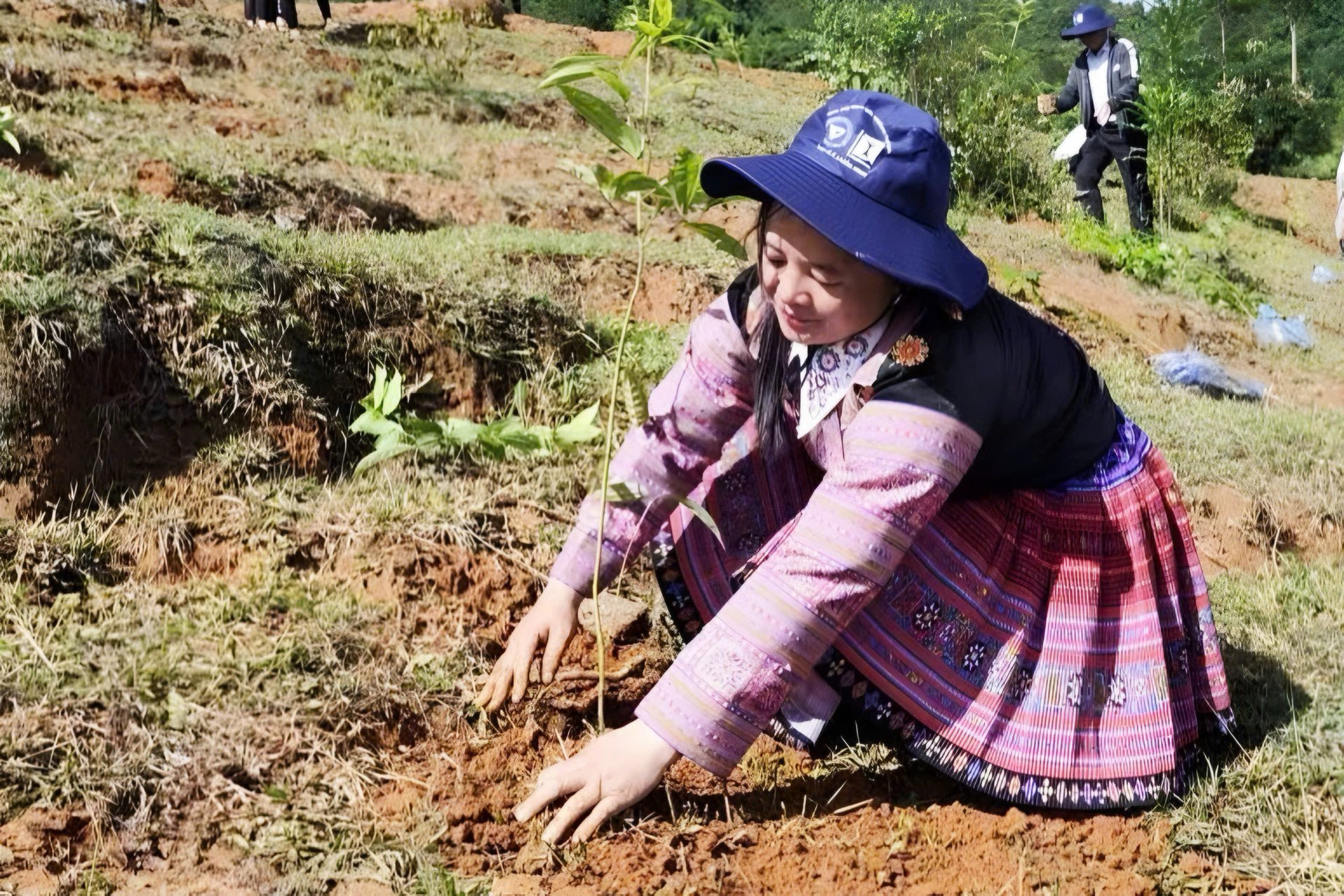 Người dân địa phương giữ vai trò then chốt trong hoạt động trồng và phục hồi rừng. Ảnh: PanNature.