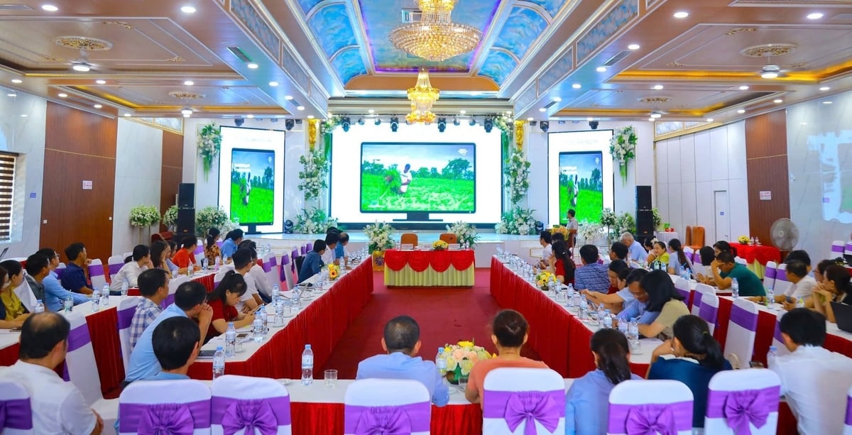 Ứng dụng trí tuệ nhân tạo trong công tác khuyến nông là xu thế tất yếu trong bối cảnh hiện nay. Ảnh: Việt Khánh. Ứng dụng trí tuệ nhân tạo trong công tác khuyến nông là xu thế tất yếu trong bối cảnh hiện nay. Ảnh: Việt Khánh.