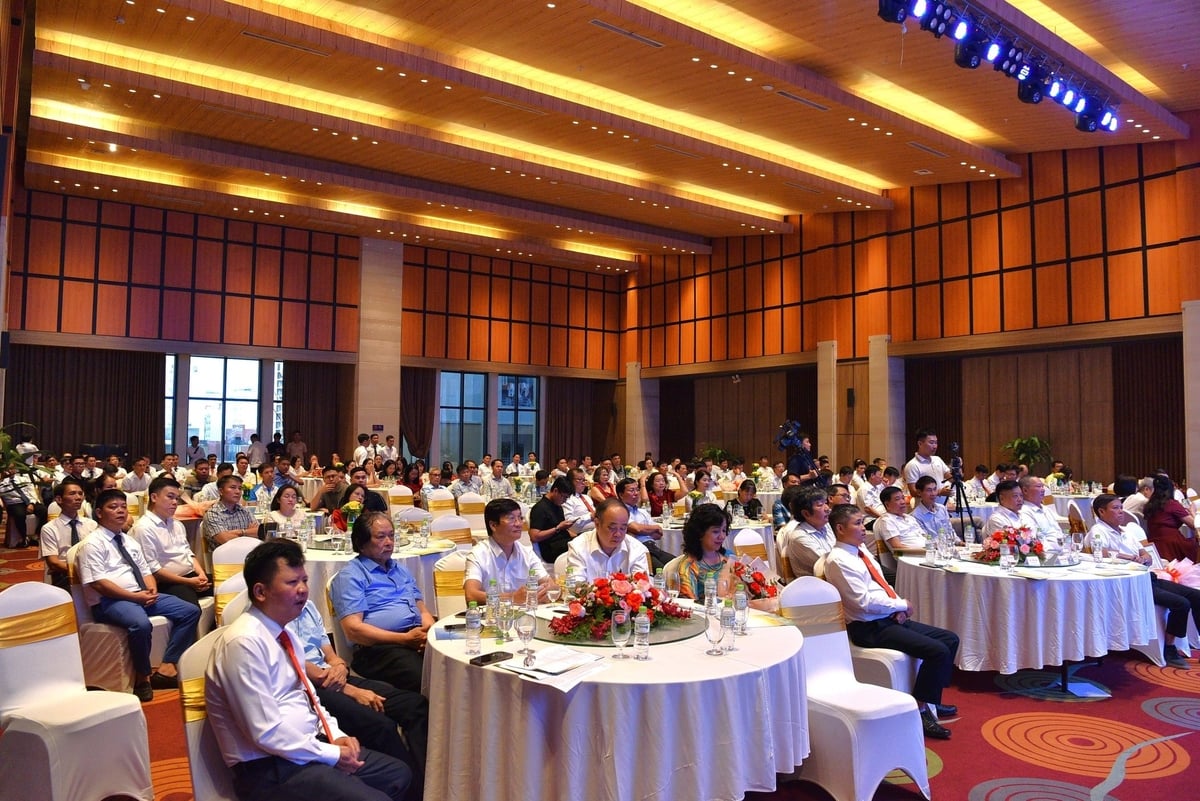 Toàn cảnh hội nghị. Ảnh: Dương Đình Tường. Toàn cảnh hội nghị. Ảnh: Dương Đình Tường.