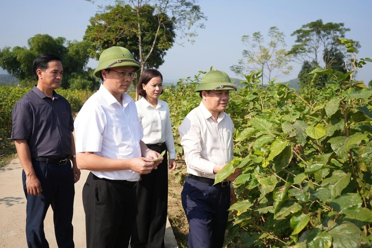 Xã Trấn Yên phấn đấu đến năm 2030, chỉ số hạnh phúc của người dân đạt trên 85%. Ảnh: Thanh Hùng. Xã Trấn Yên phấn đấu đến năm 2030, chỉ số hạnh phúc của người dân đạt trên 85%. Ảnh: Thanh Hùng.