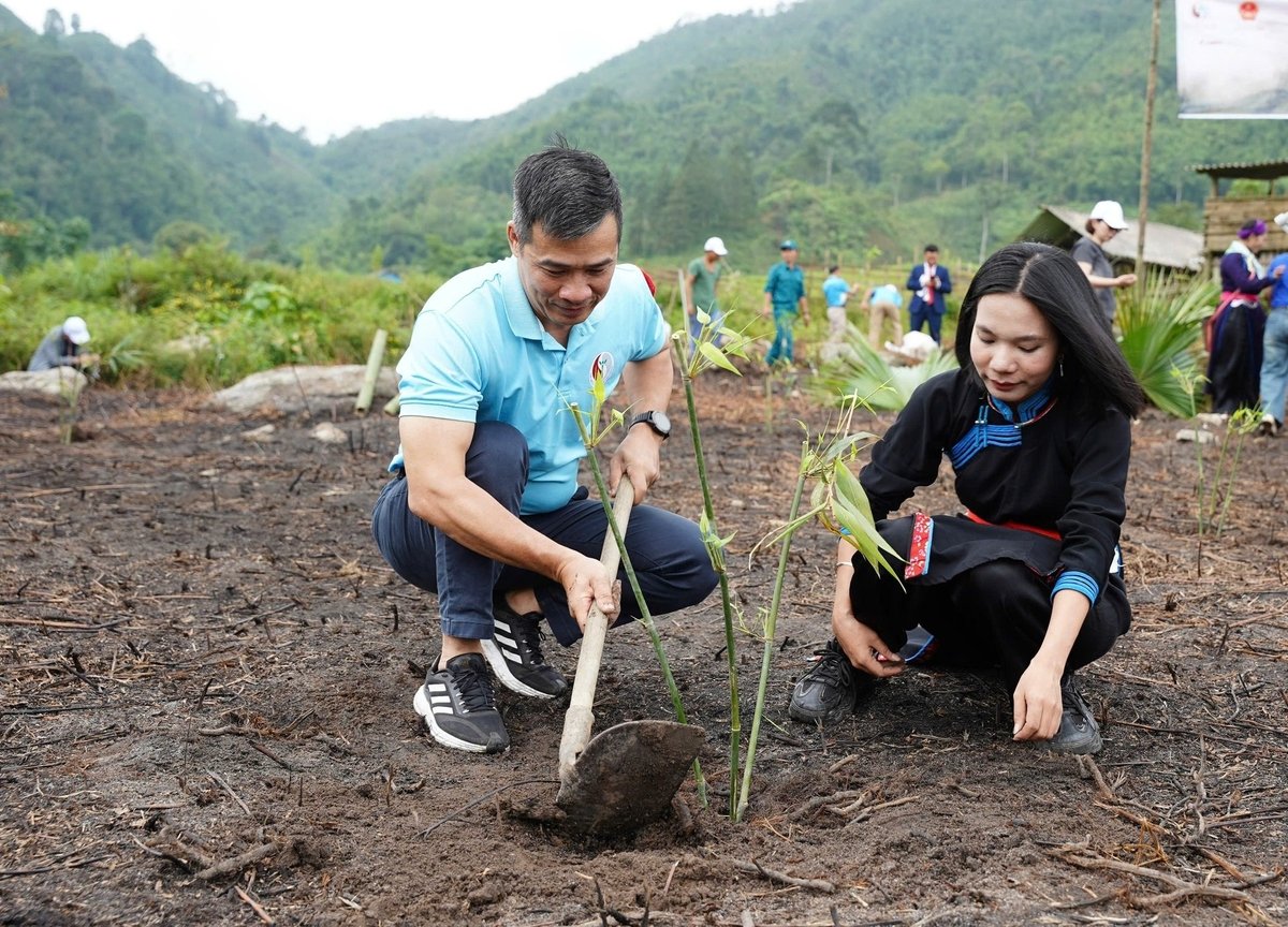 Ông Vũ Minh Lý, Phó Giám đốc Trung tâm Truyền thông Tài nguyên và Môi trường, Bộ Nông nghiệp và Môi trường trồng cây cùng người dân Bản Liền. Ảnh: Minh Phúc. Ông Vũ Minh Lý, Phó Giám đốc Trung tâm Truyền thông Tài nguyên và Môi trường, Bộ Nông nghiệp và Môi trường trồng cây cùng người dân Bản Liền. Ảnh: Minh Phúc.
