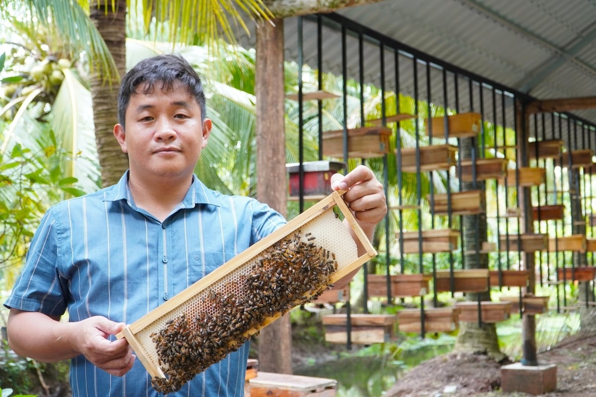 Anh Nguyễn Minh Tùng, người nghiên cứu và xây dựng thành công mô hình nuôi ong tách tầng cho hiệu quả kinh tế cao. Ảnh: Kim Anh. Anh Nguyễn Minh Tùng, người nghiên cứu và xây dựng thành công mô hình nuôi ong tách tầng cho hiệu quả kinh tế cao. Ảnh: Kim Anh.