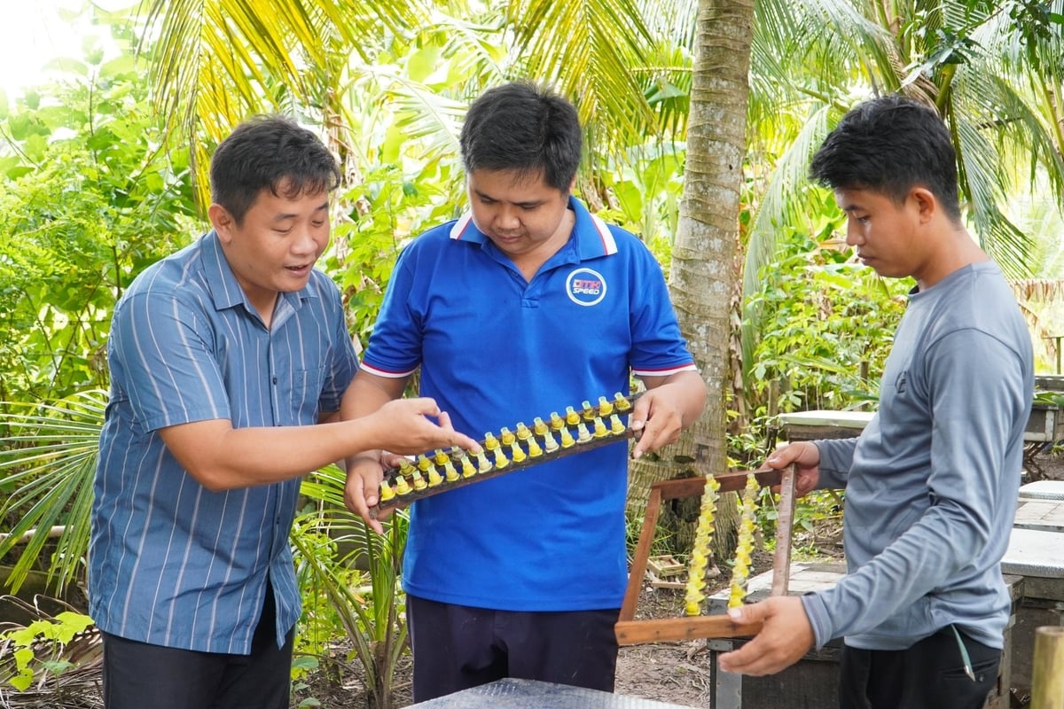 Ngoài sản xuất, anh Tùng còn chuyển giao kỹ thuật chăn nuôi ong cho nhiều hộ dân trong và ngoài TP. Cần Thơ. Ảnh: Kim Anh. Ngoài sản xuất, anh Tùng còn chuyển giao kỹ thuật chăn nuôi ong cho nhiều hộ dân trong và ngoài TP. Cần Thơ. Ảnh: Kim Anh.