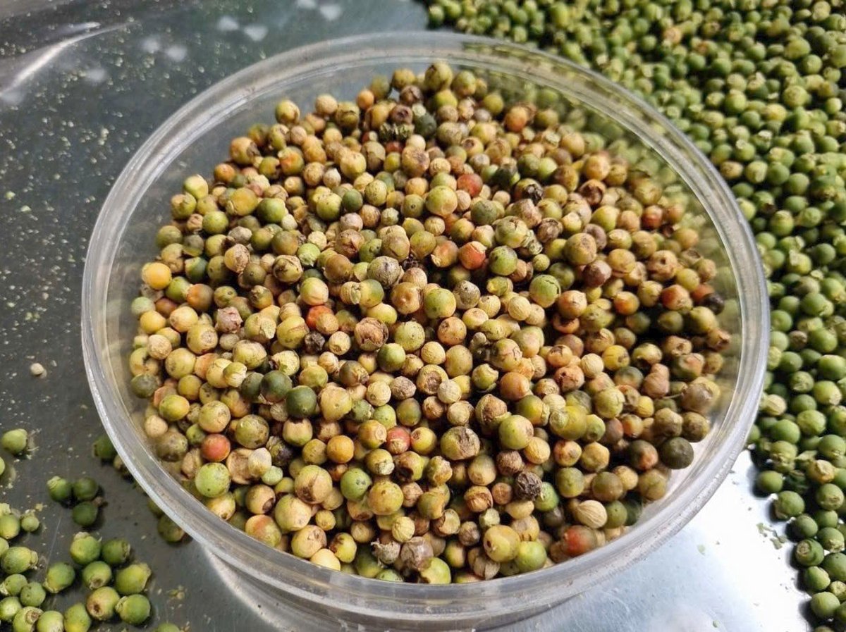 Tháo gỡ vướng mắc của Luật Thuế GTGT sẽ giúp thị trường hồ tiêu khởi sắc trở lại. Ảnh: Thanh Sơn.