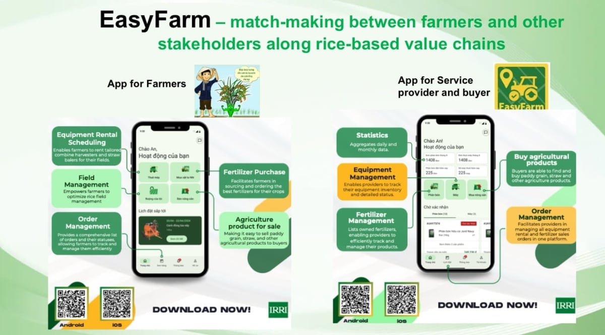EasyFarm – a platform connecting farmers with actors across the rice value chain, from input suppliers and service providers to traders and markets. Photo: IRRI.