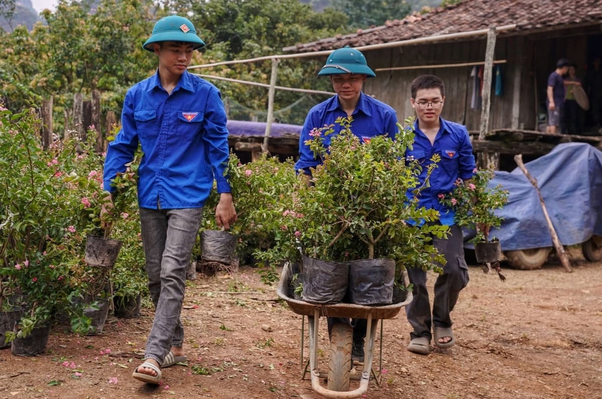 Thanh niên xã Cai Kinh hỗ trợ trồng cây hoa tường vi, xây dựng Lân Nóng thành 'ngôi làng Net Zero' trong tương lai. Ảnh: Phạm Hương. Thanh niên xã Cai Kinh hỗ trợ trồng cây hoa tường vi, xây dựng Lân Nóng thành 'ngôi làng Net Zero' trong tương lai. Ảnh: Phạm Hương.