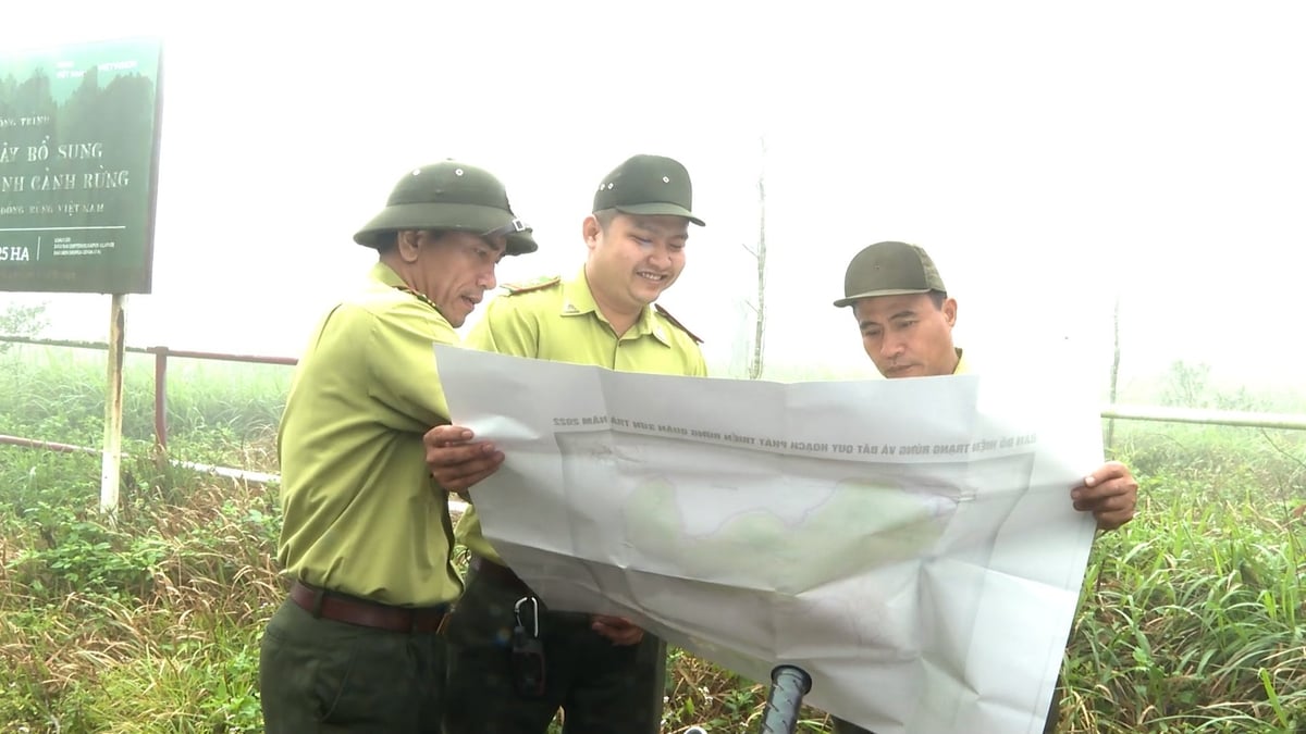 Lực lượng kiểm lâm Đà Nẵng rà soát, xác định khu vực rừng có nguy cơ cháy cao để triển khai biện pháp phòng ngừa. Ảnh: Phạm Huy. Lực lượng kiểm lâm Đà Nẵng rà soát, xác định khu vực rừng có nguy cơ cháy cao để triển khai biện pháp phòng ngừa. Ảnh: Phạm Huy.