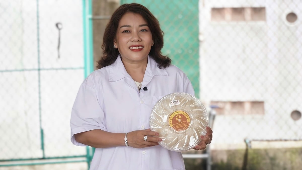 Bà Tăng Thị Hằng, Giám đốc Công ty TNHH Thương mại Dịch vụ Hiếu Hằng giới thiệu sản phẩm tổ yến đạt chuẩn OCOP 3 sao, hướng đến thị trường xuất khẩu. Ảnh: Trần Phi.