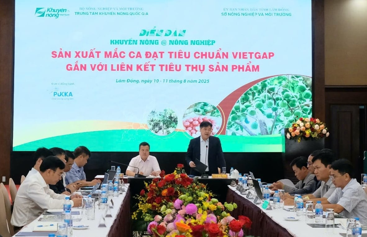 Ông Lê Quốc Thanh, Giám đốc Trung tâm Khuyến nông Quốc gia cho biết, mắc ca đã mang lại nhiều lợi ích về kinh tế, môi trường và việc làm cho đồng bào dân tộc thiểu số. Ảnh: VL. Ông Lê Quốc Thanh, Giám đốc Trung tâm Khuyến nông Quốc gia cho biết, mắc ca đã mang lại nhiều lợi ích về kinh tế, môi trường và việc làm cho đồng bào dân tộc thiểu số. Ảnh: VL.