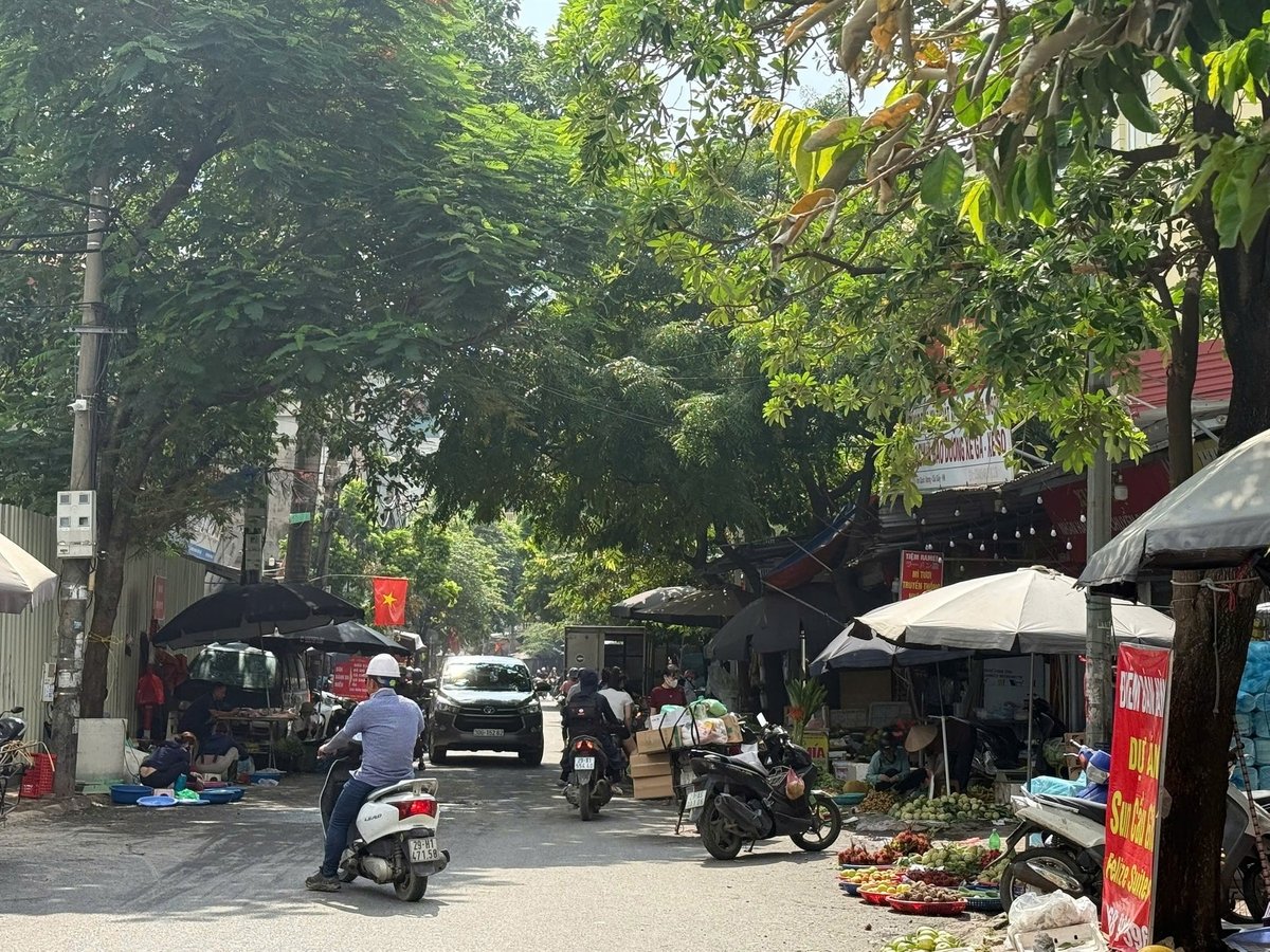 Chợ cóc tại phố Trần Quốc Vượng đã tồn tại nhiều năm nay. Ảnh: Cao Sơn. Chợ cóc tại phố Trần Quốc Vượng đã tồn tại nhiều năm nay. Ảnh: Cao Sơn.
