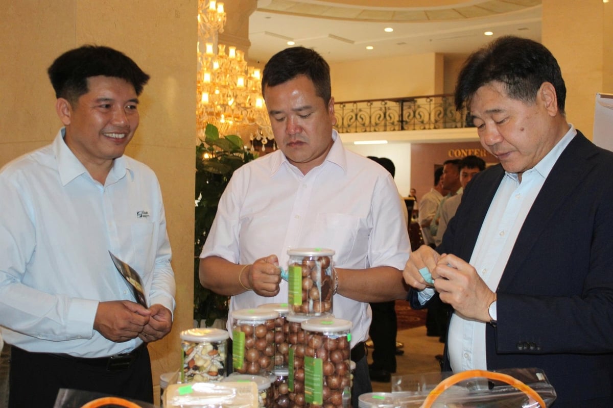 Các đại biểu tham quan gian trưng bày sản phẩm hạt mắc ca tại diễn đàn. Ảnh: VL. Các đại biểu tham quan gian trưng bày sản phẩm hạt mắc ca tại diễn đàn. Ảnh: VL.