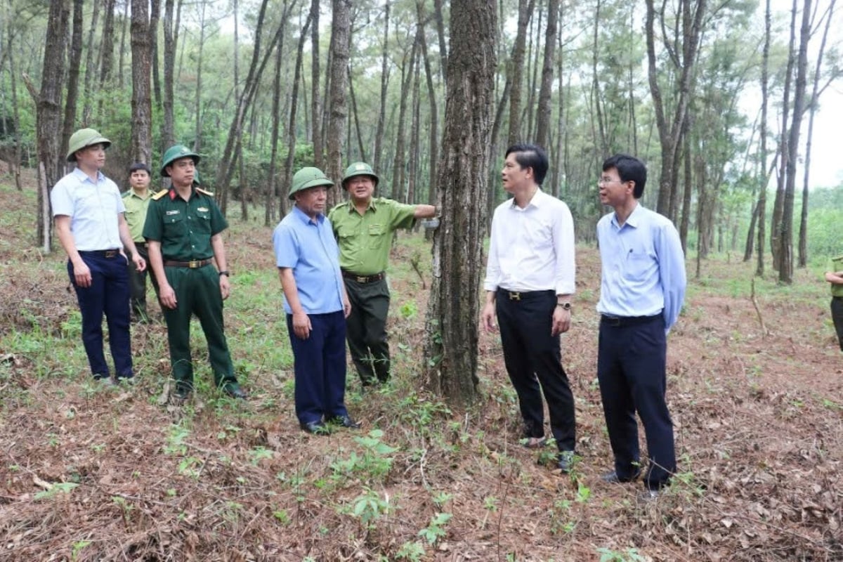 Lãnh đạo tỉnh Nghệ An kiểm tra công tác phát dọn thực bì trong mùa nắng nóng. Ảnh: Đăng Quân. Lãnh đạo tỉnh Nghệ An kiểm tra công tác phát dọn thực bì trong mùa nắng nóng. Ảnh: Đăng Quân.