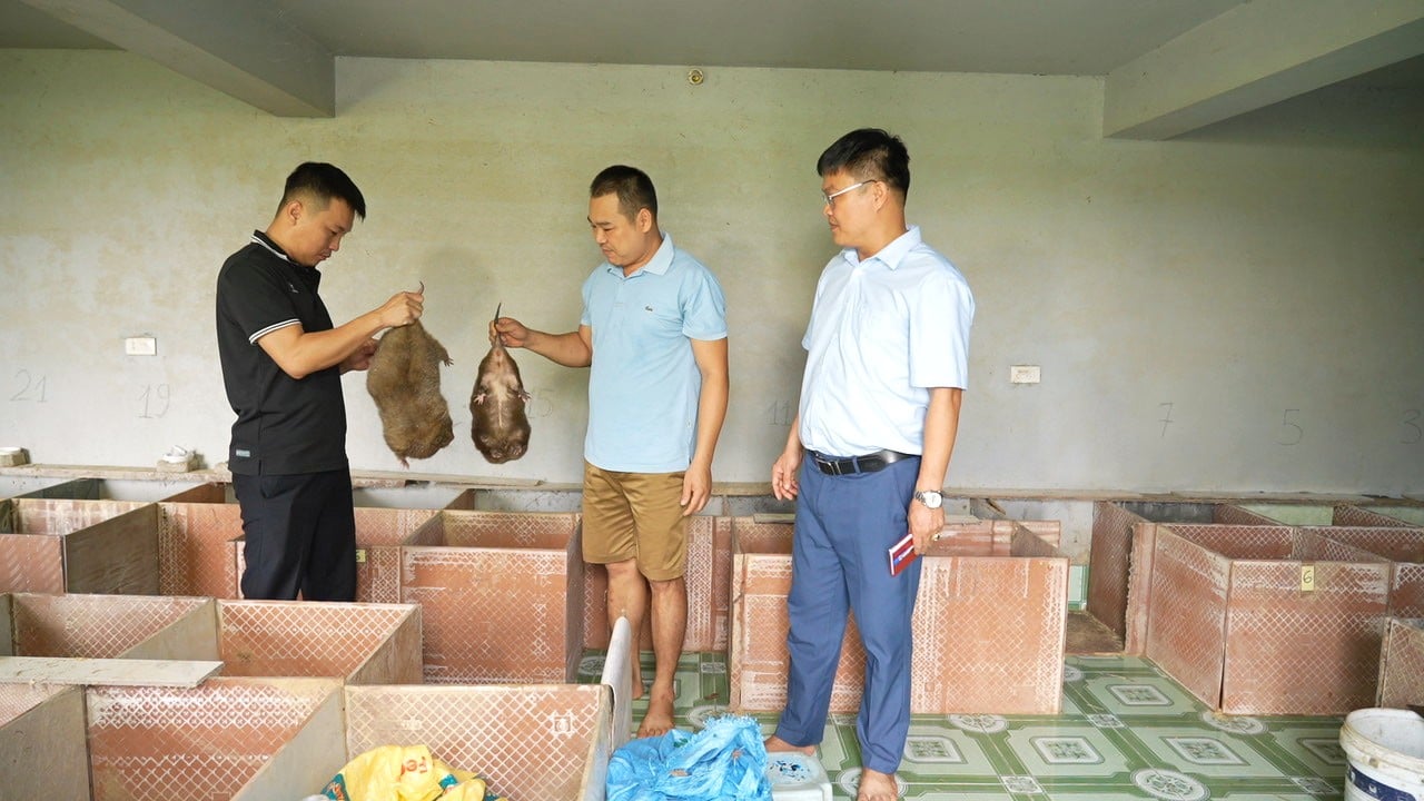 Anh Bùi Duy Thanh (đứng giữa) ở thôn Bái Khay, xã Lâm Giang chia sẻ về mô hình nuôi dúi tăng thêm thu nhập của gia đình. Ảnh: An Khang. Anh Bùi Duy Thanh (đứng giữa) ở thôn Bái Khay, xã Lâm Giang chia sẻ về mô hình nuôi dúi tăng thêm thu nhập của gia đình. Ảnh: An Khang.
