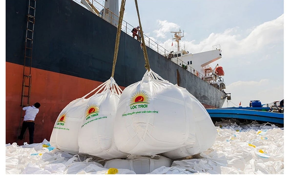 Năm 2024, Việt Nam xuất khẩu kỷ lục gần 9 triệu tấn gạo, thu về khoảng 5,7 tỷ USD. Ảnh minh họa.