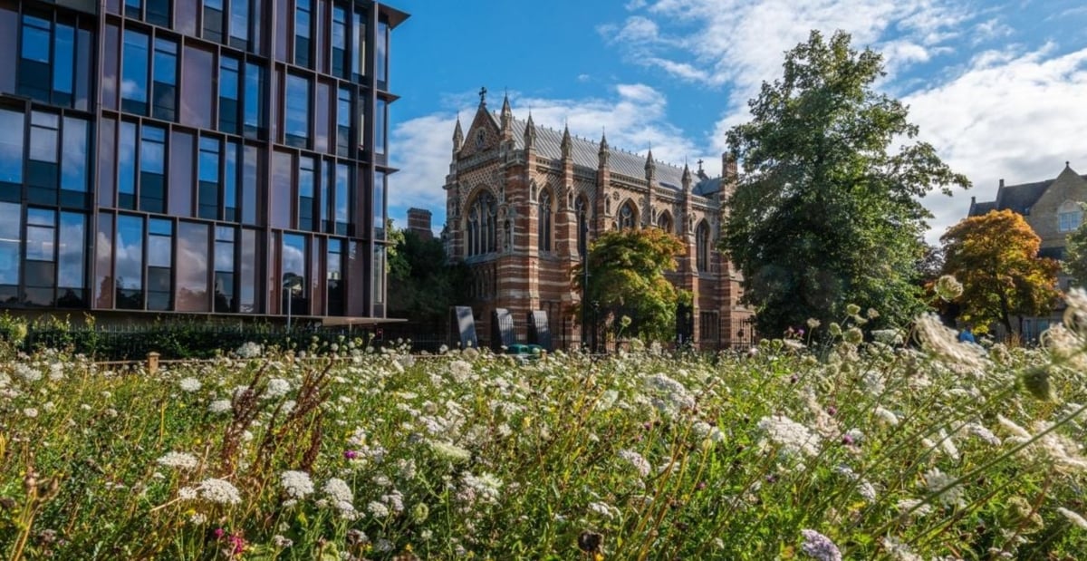 Oxford đã triển khai mô hình 'Hội đồng công dân vì thiên nhiên' nhằm xây dựng thành phố dễ tiếp cận cho mọi người, với các không gian xanh được bảo vệ, sông ngòi trong lành và hệ sinh thái phong phú, kết nối qua những hành lang xanh, nuôi dưỡng sức khỏe cho cả con người và thiên nhiên. Ảnh: Đại học Oxford. 