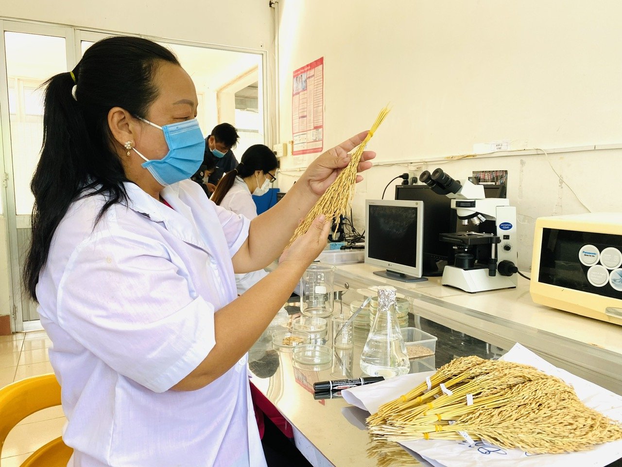 Viện Khoa học Nông nghiệp Việt Nam sẽ tiếp tục rà soát, sắp xếp tinh gọn bộ máy để tránh trùng lắp, nâng cao hiệu quả đầu tư và phối hợp giữa các viện thành viên. Ảnh: Hoàng Vũ.