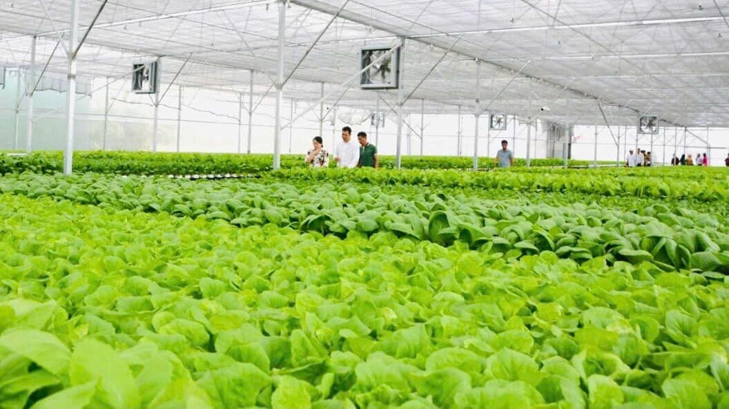 Tây Ninh đang tập trung đẩy mạnh phát triển nông nghiệp ứng dụng công nghệ cao. Ảnh: Thanh Bạch. Tây Ninh đang tập trung đẩy mạnh phát triển nông nghiệp ứng dụng công nghệ cao. Ảnh: Thanh Bạch.