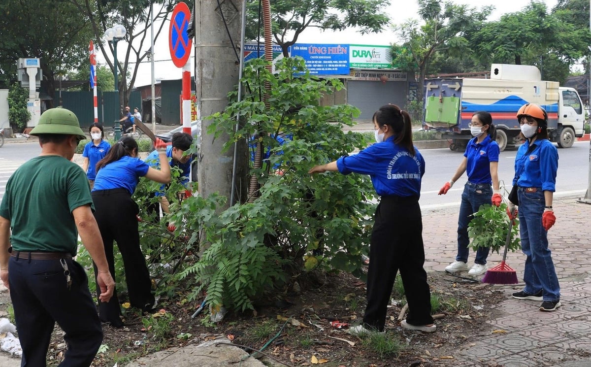 Phát quang cây, cỏ dại. Ảnh: Lưu Phượng.