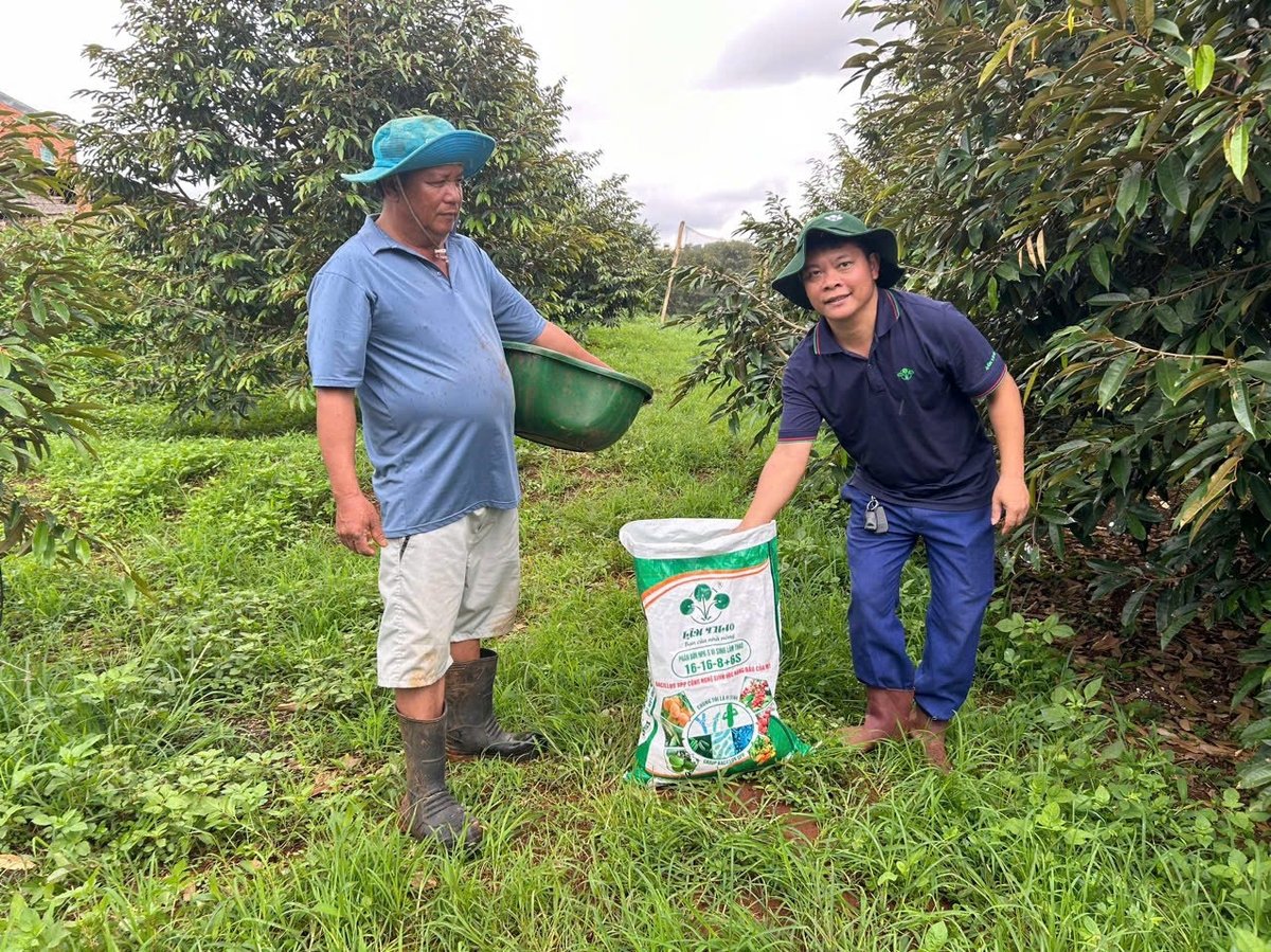 Những mô hình sử dụng phân Lâm Thao rất cần truyền thông, lan tỏa. Ảnh: Supe Lâm Thao. Những mô hình sử dụng phân Lâm Thao rất cần truyền thông, lan tỏa. Ảnh: Supe Lâm Thao.